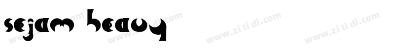 Sejam Heavy字体转换